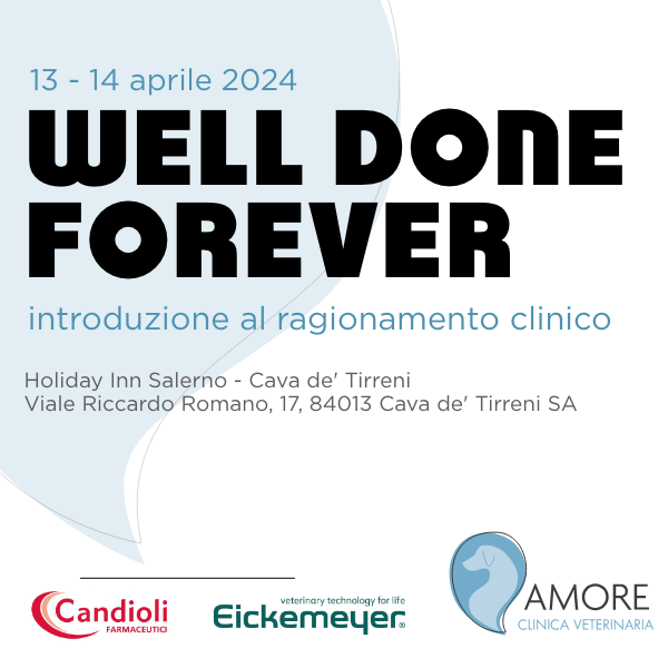 Well done forever Well done forever